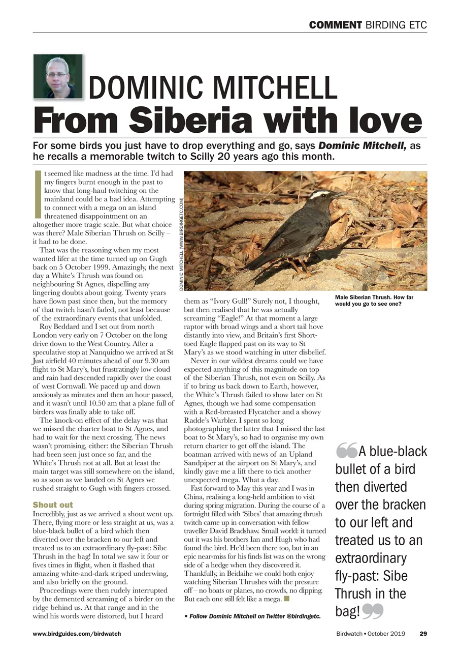 Birdwatch Magazine Preview Pages