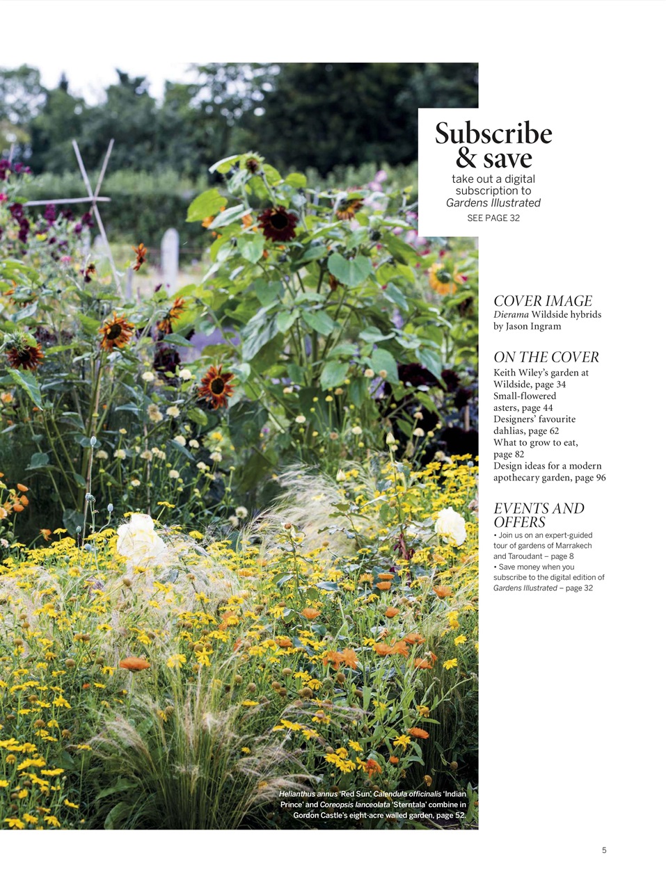 Gardens Illustrated Preview Pages