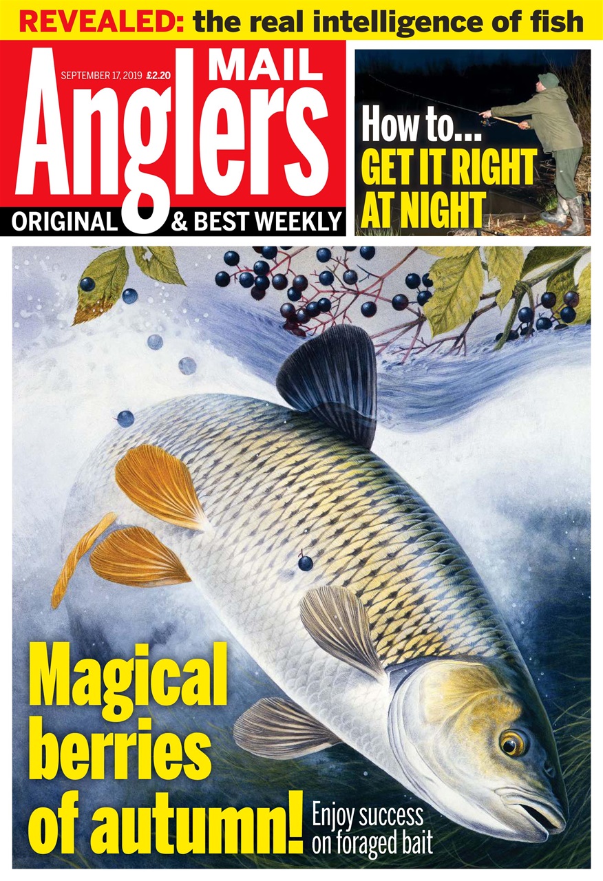 Anglers Mail Preview Pages