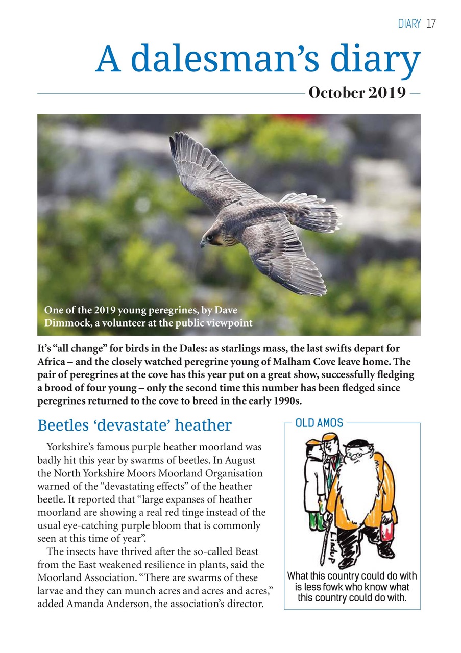 The Yorkshire Dalesman Preview Pages