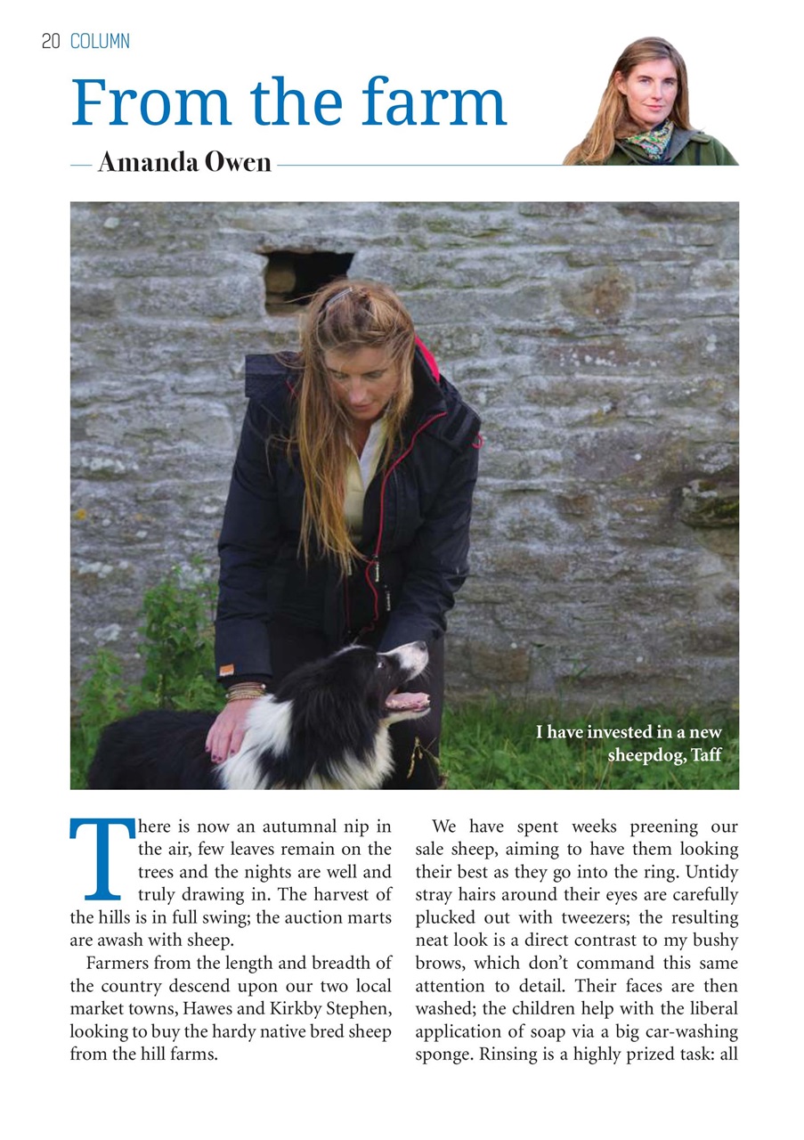The Yorkshire Dalesman Preview Pages