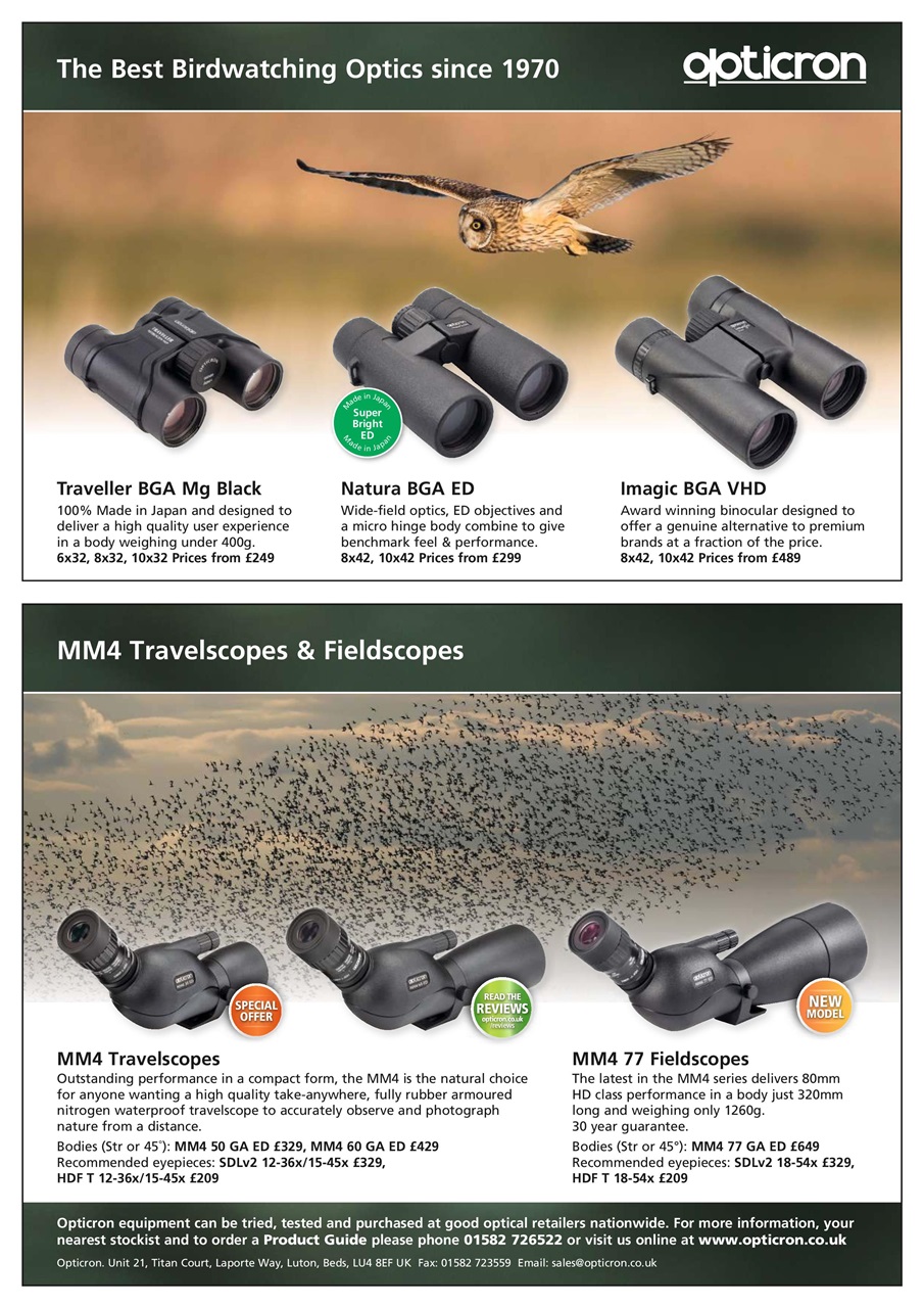 Bird Watching Preview Pages