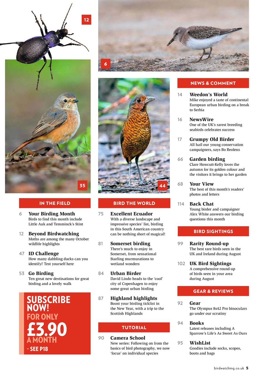 Bird Watching Preview Pages