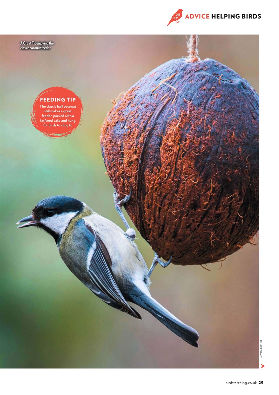 Bird Watching Preview Pages