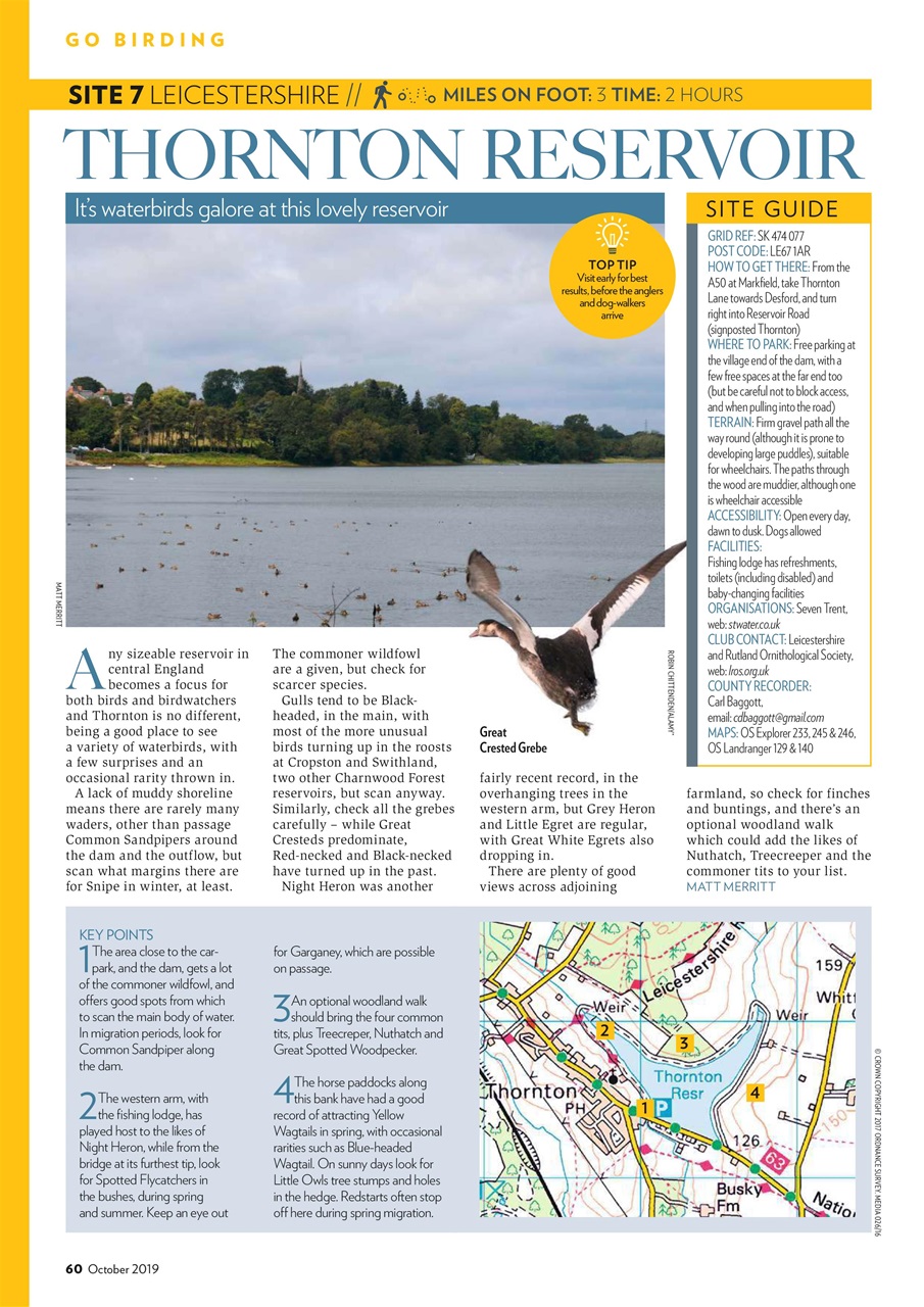 Bird Watching Preview Pages