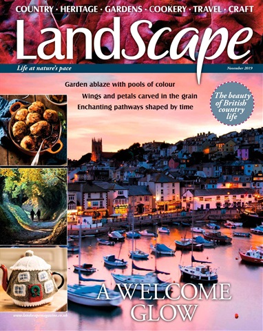 LandScape issue November 2019