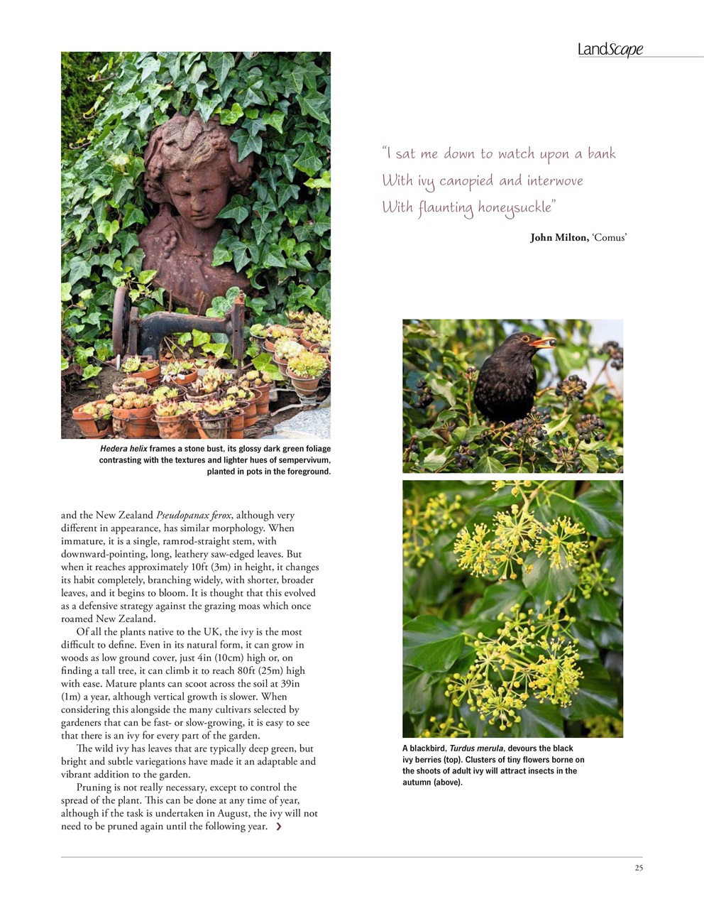 LandScape Preview Pages