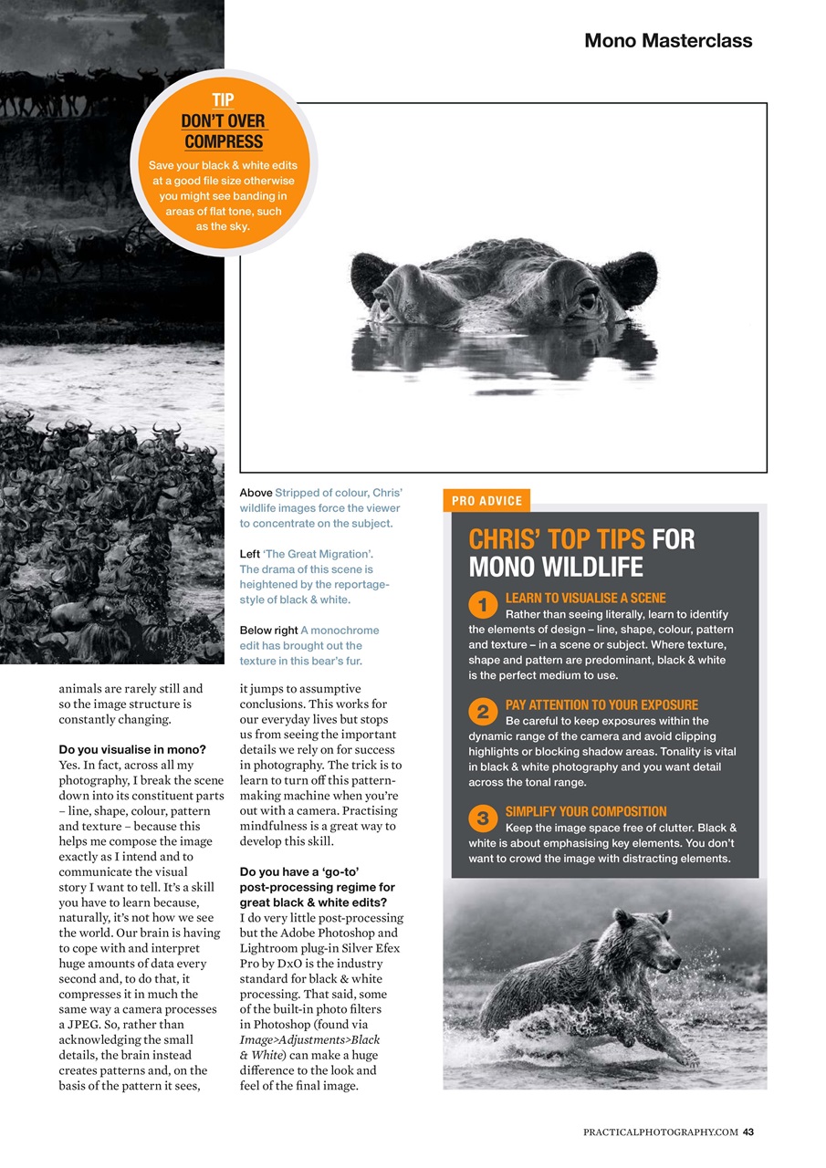 Practical Photography Preview Pages