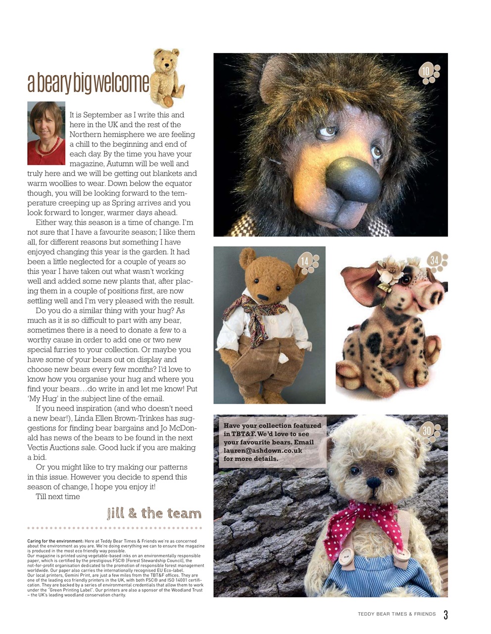 Teddy Bear Times Preview Pages