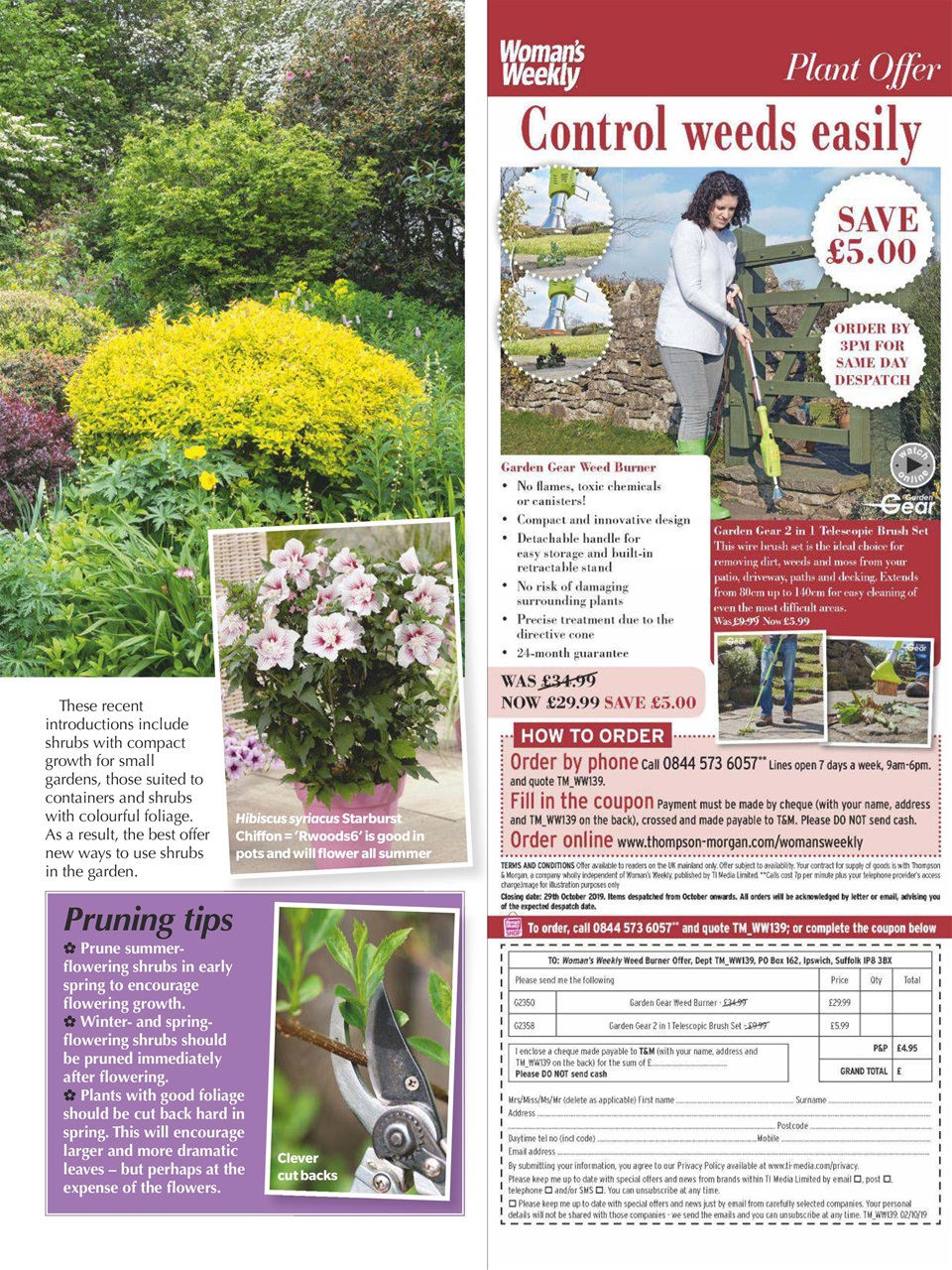 Woman's Weekly Preview Pages