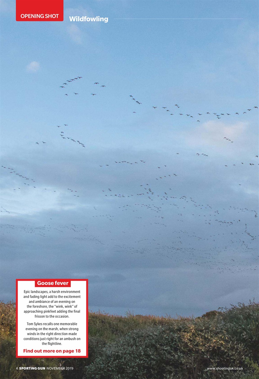 Sporting Gun Preview Pages