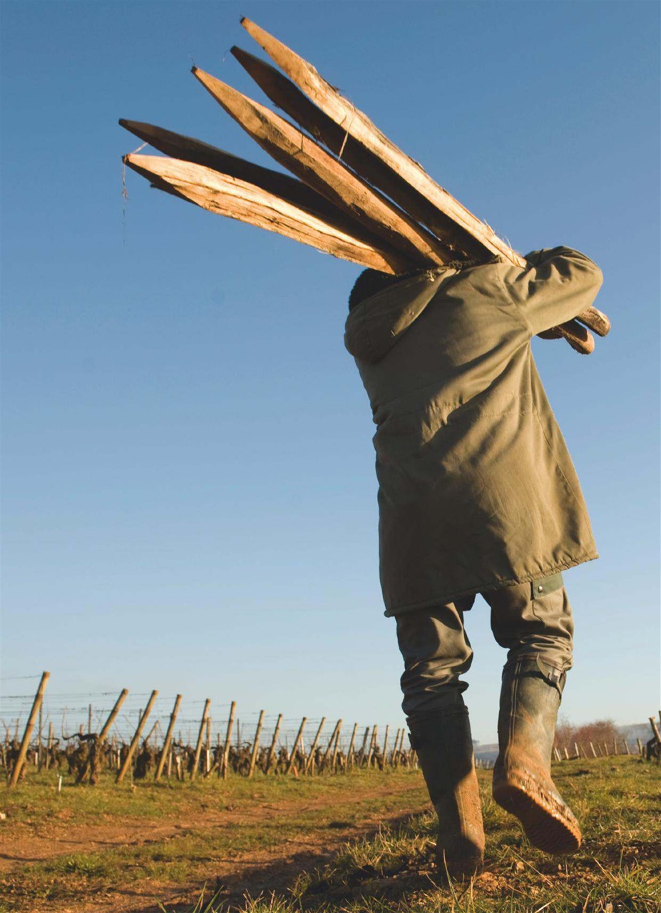 Decanter Preview Pages