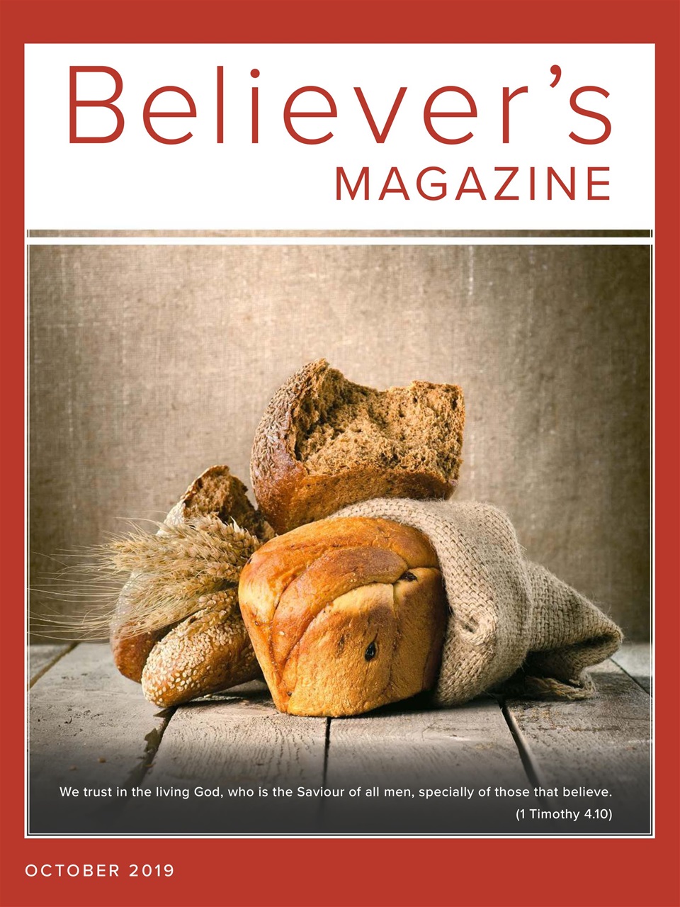 Believer Magazine Preview Pages