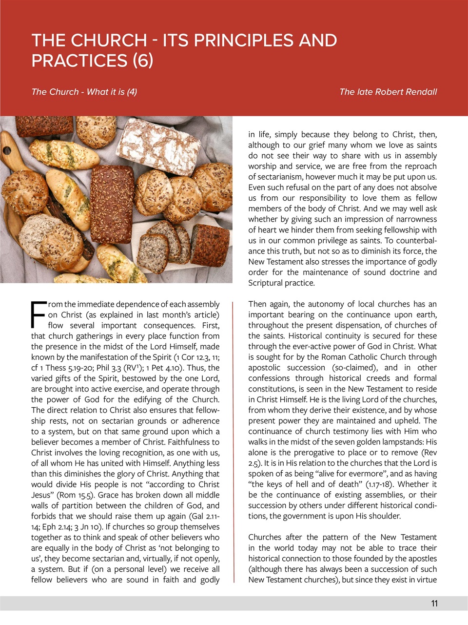 Believer Magazine Preview Pages