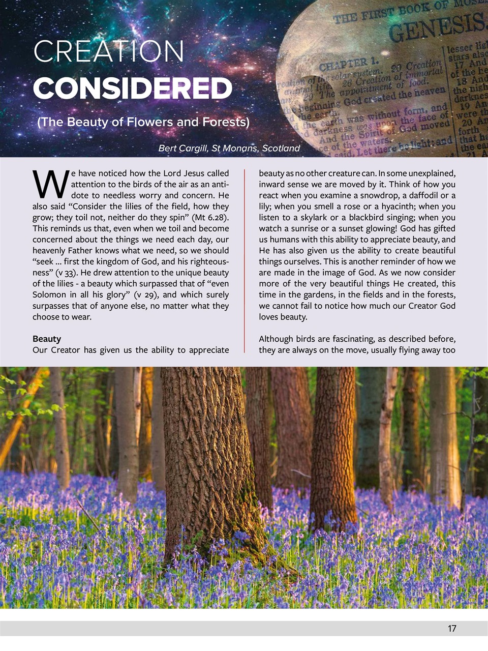 Believer Magazine Preview Pages