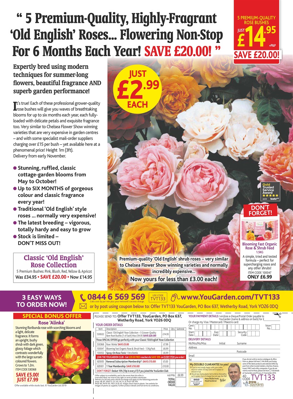 TV Times Preview Pages