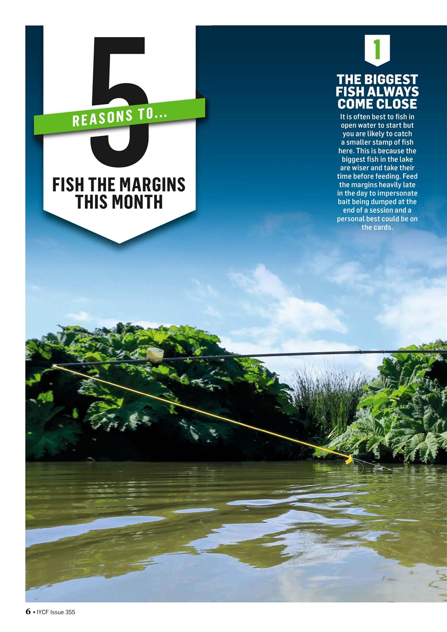 Improve Your Coarse Fishing Preview Pages