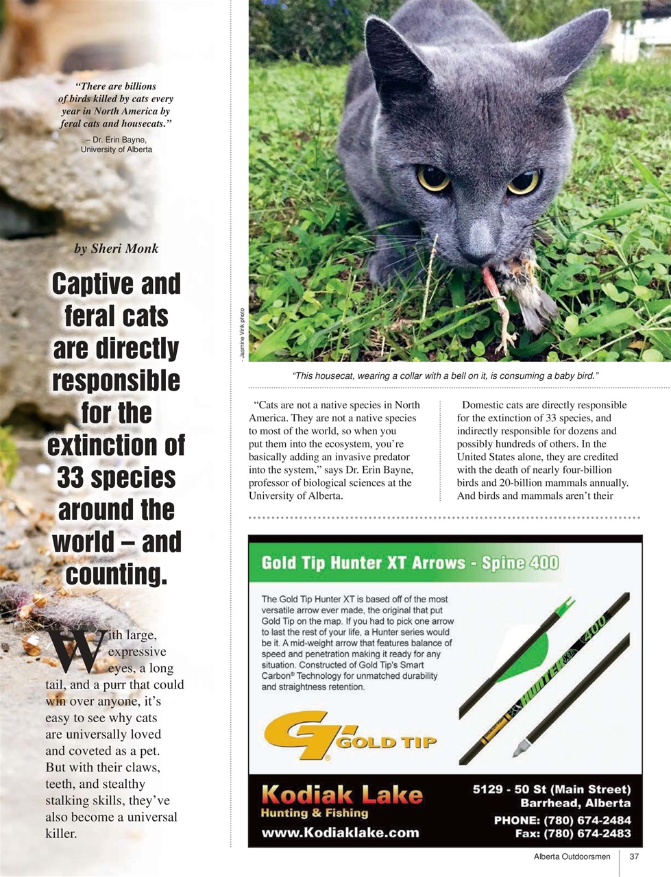 Alberta Outdoors Preview Pages