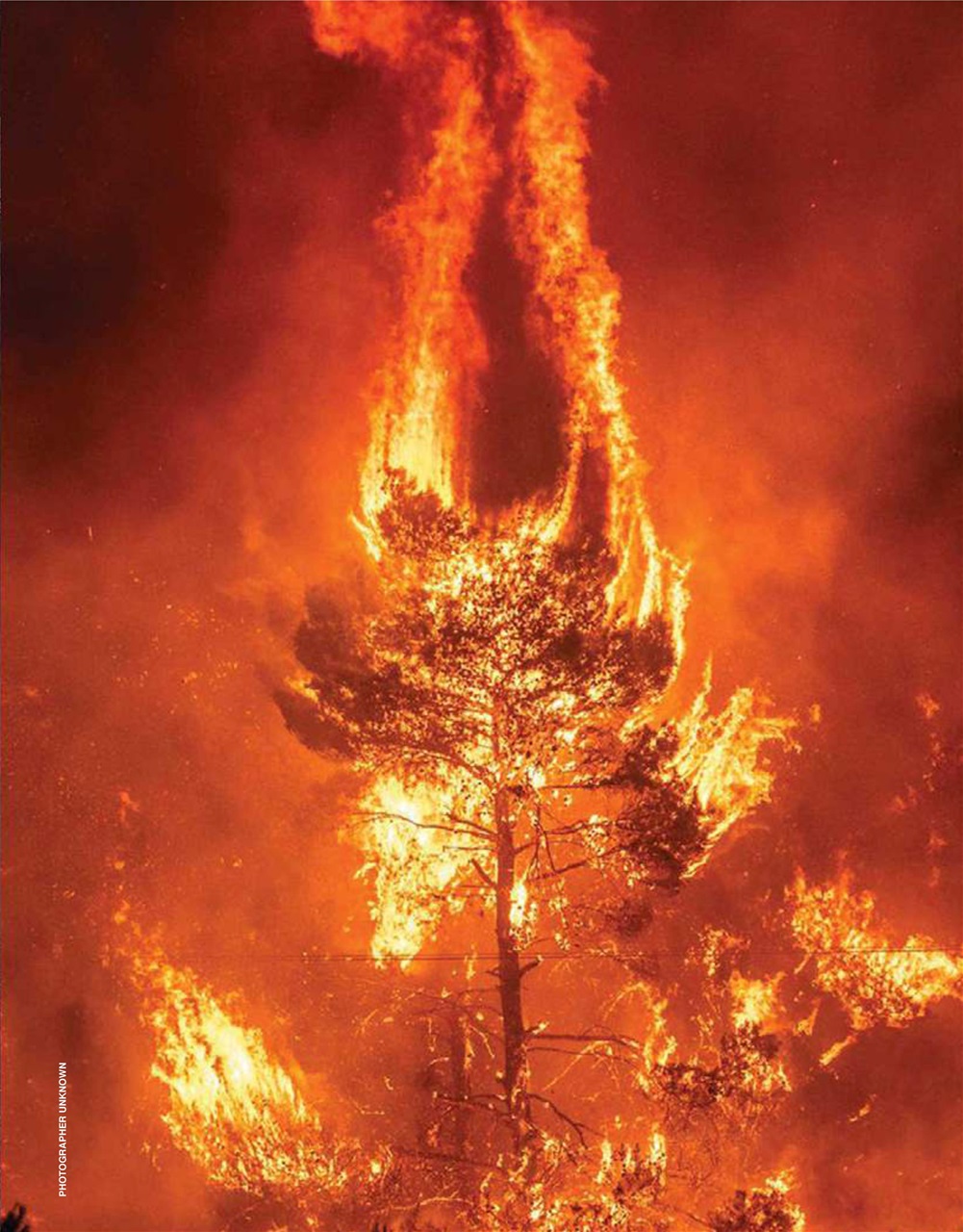 Adbusters Preview Pages