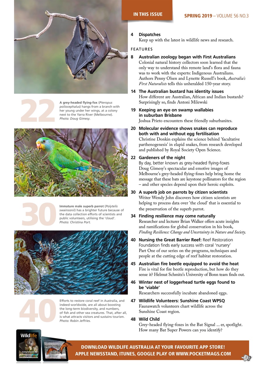 Wildlife Australia Preview Pages