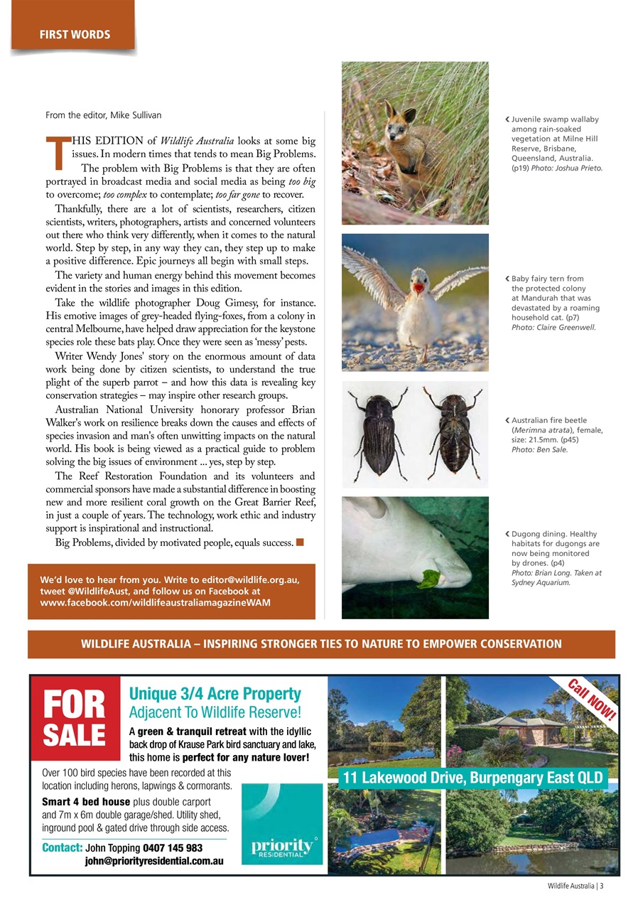 Wildlife Australia Preview Pages
