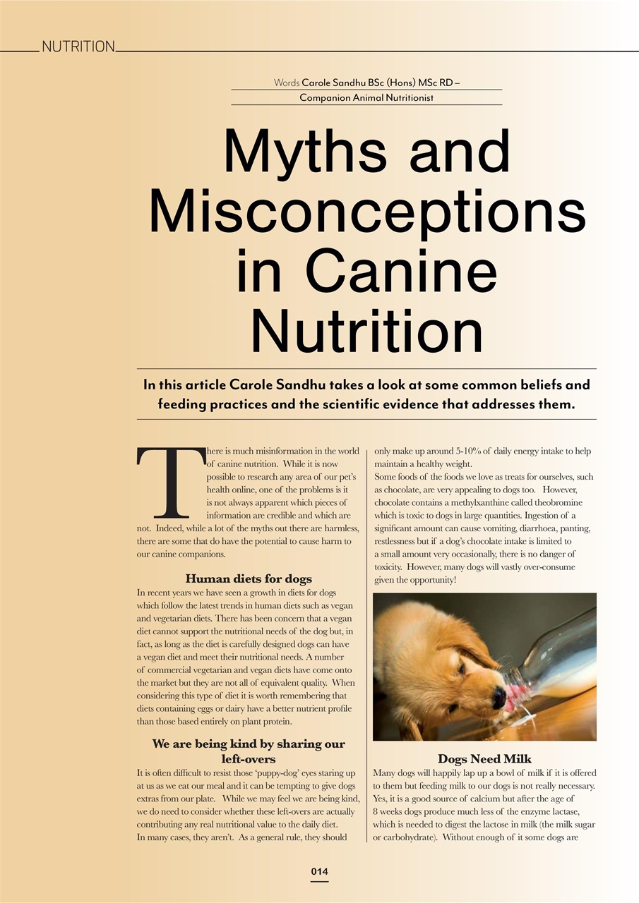 Edition Dog Preview Pages