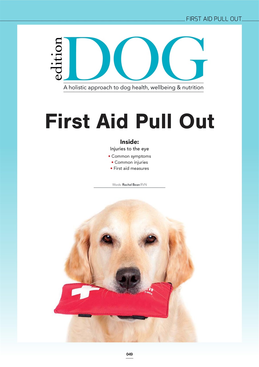 Edition Dog Preview Pages