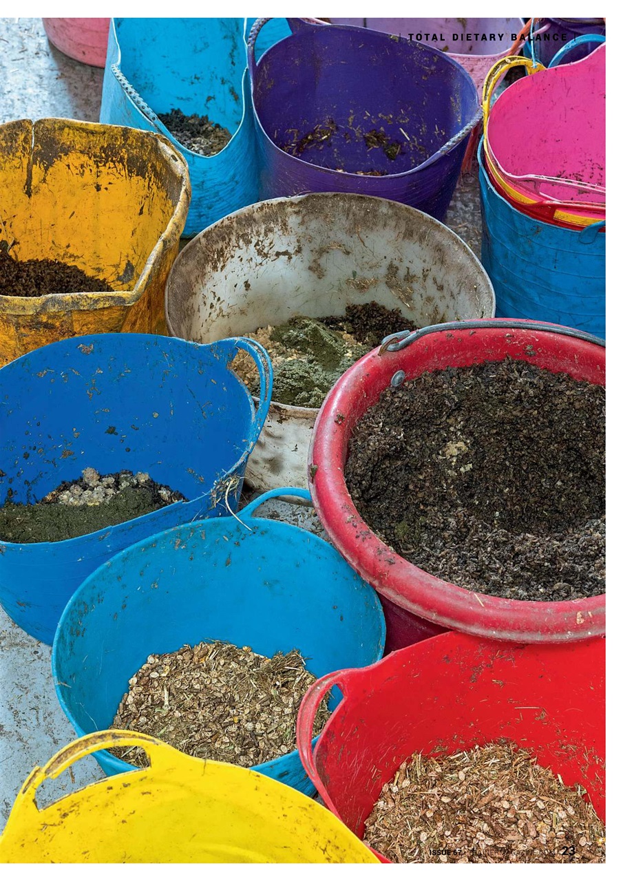 European Trainer Magazine - horse racing Preview Pages