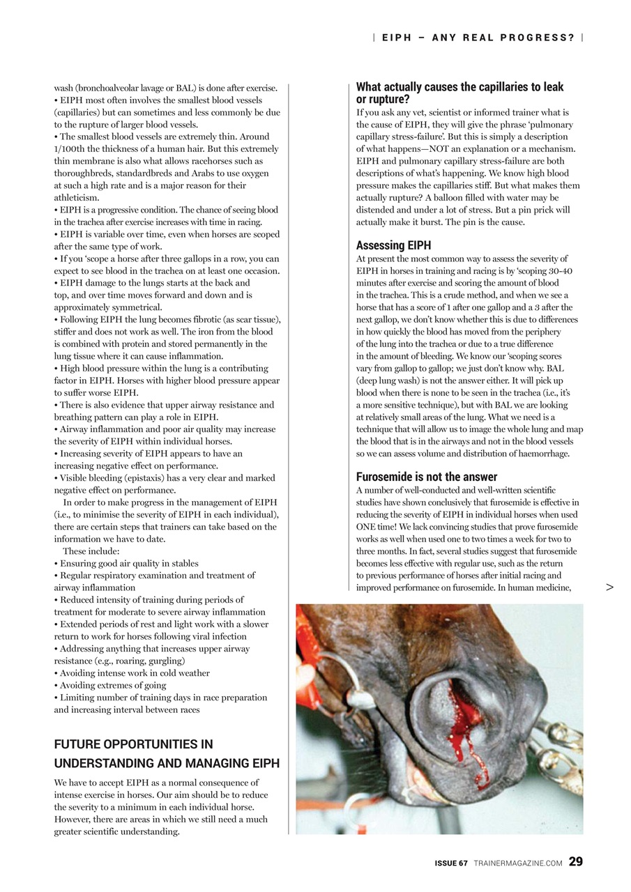 European Trainer Magazine - horse racing Preview Pages