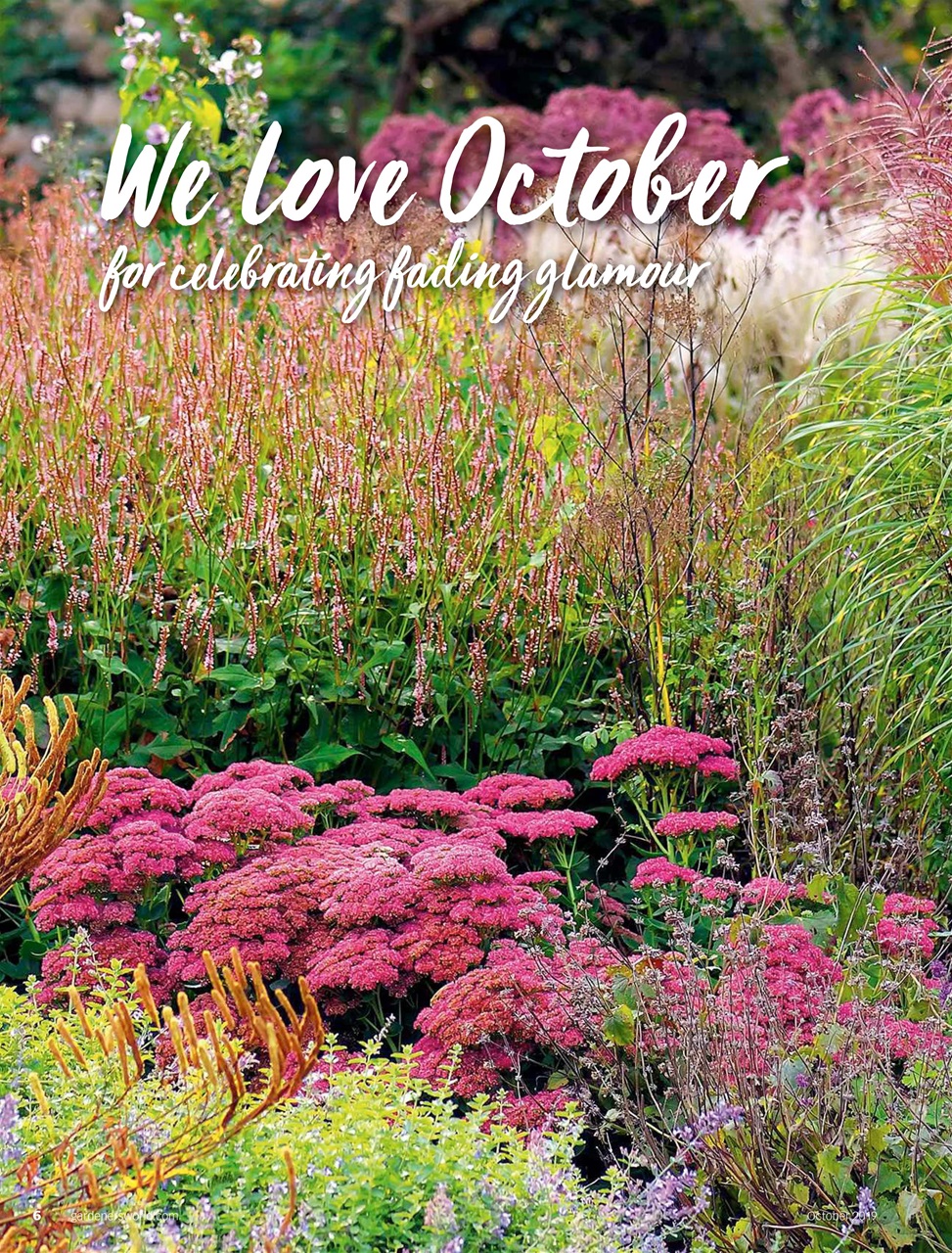 BBC Gardeners’ World Magazine Preview Pages