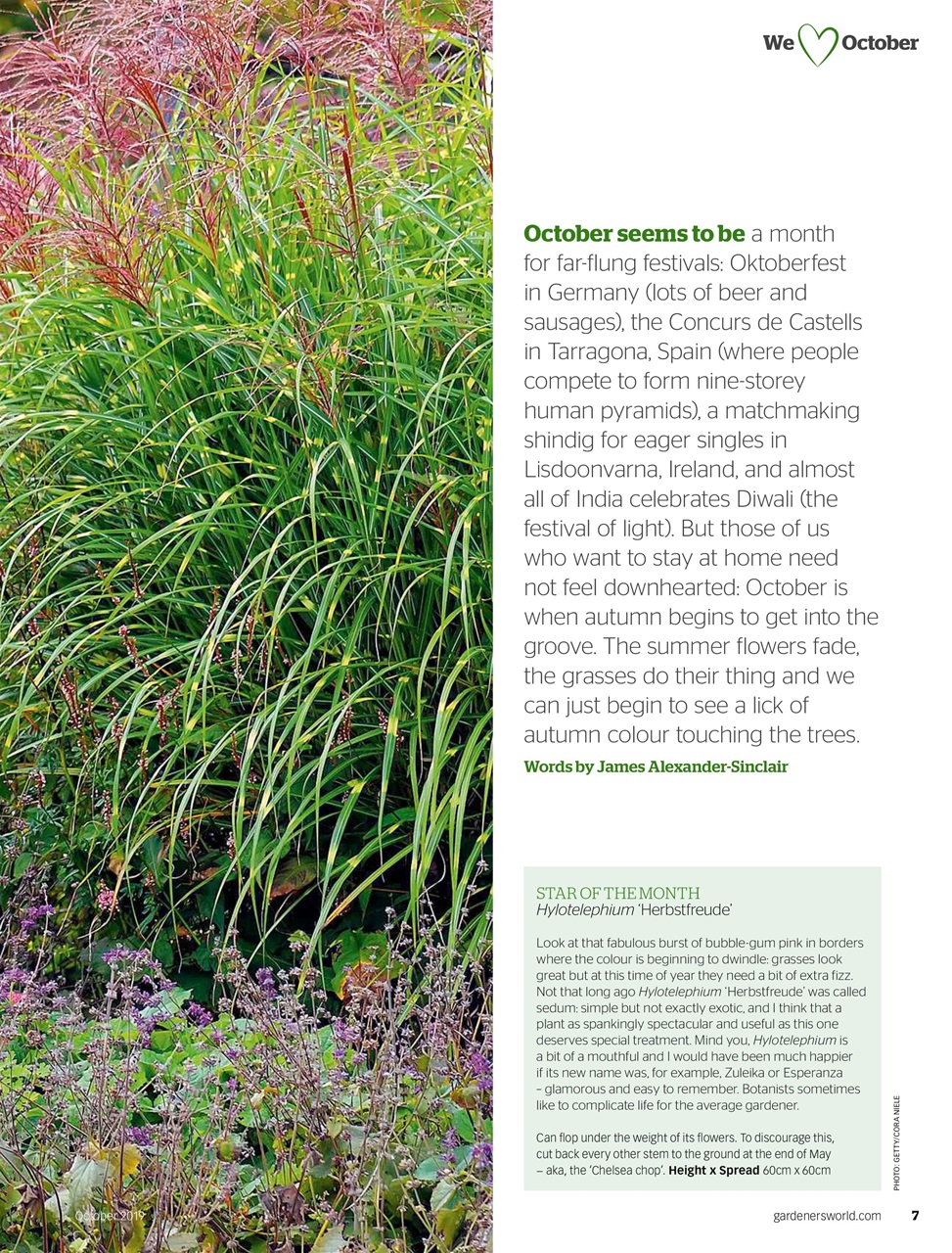 BBC Gardeners’ World Magazine Preview Pages