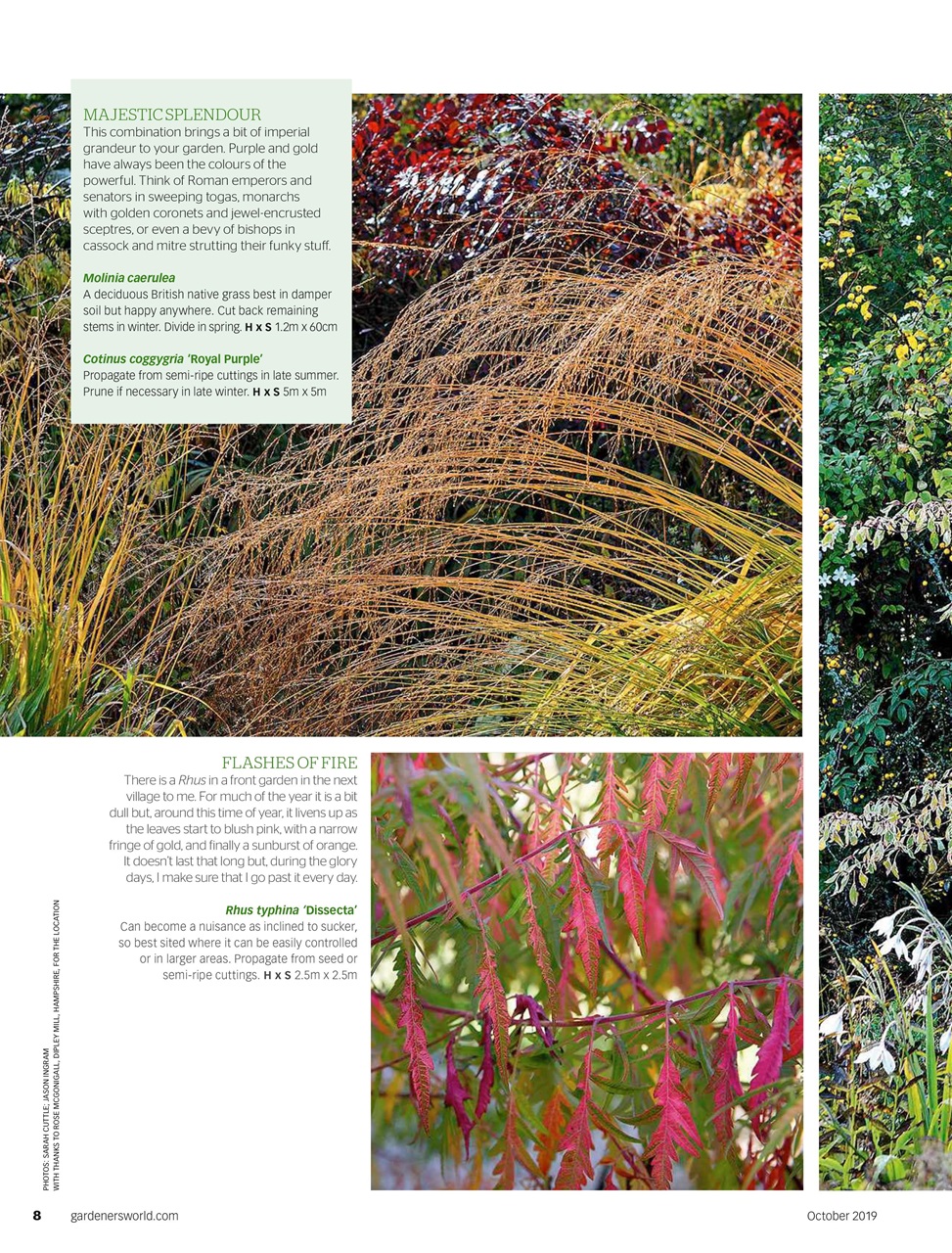 BBC Gardeners’ World Magazine Preview Pages