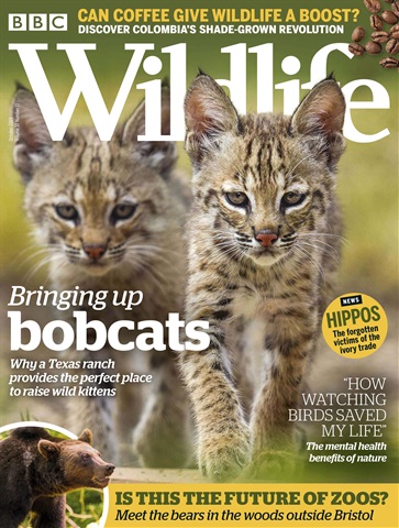 BBC Wildlife Magazine issue October 2019