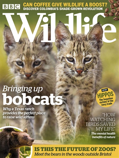 BBC Wildlife Magazine issue 