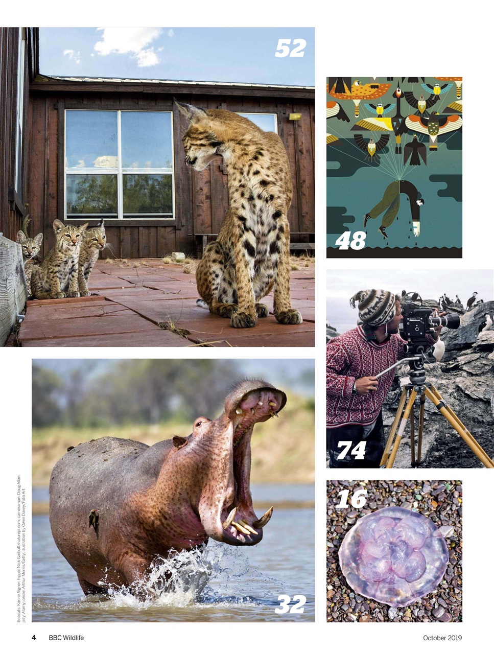 BBC Wildlife Magazine Preview Pages