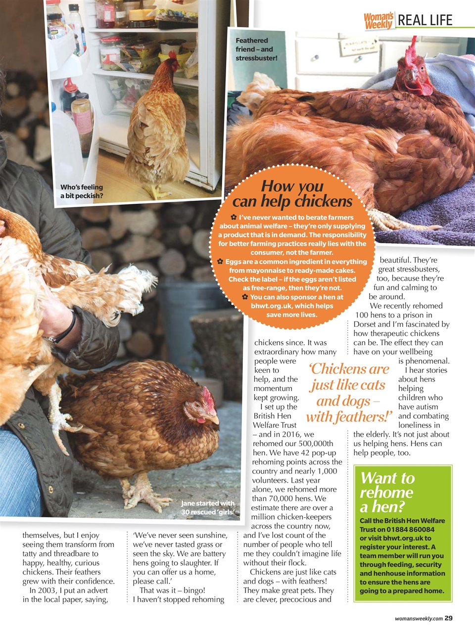 Woman's Weekly Preview Pages