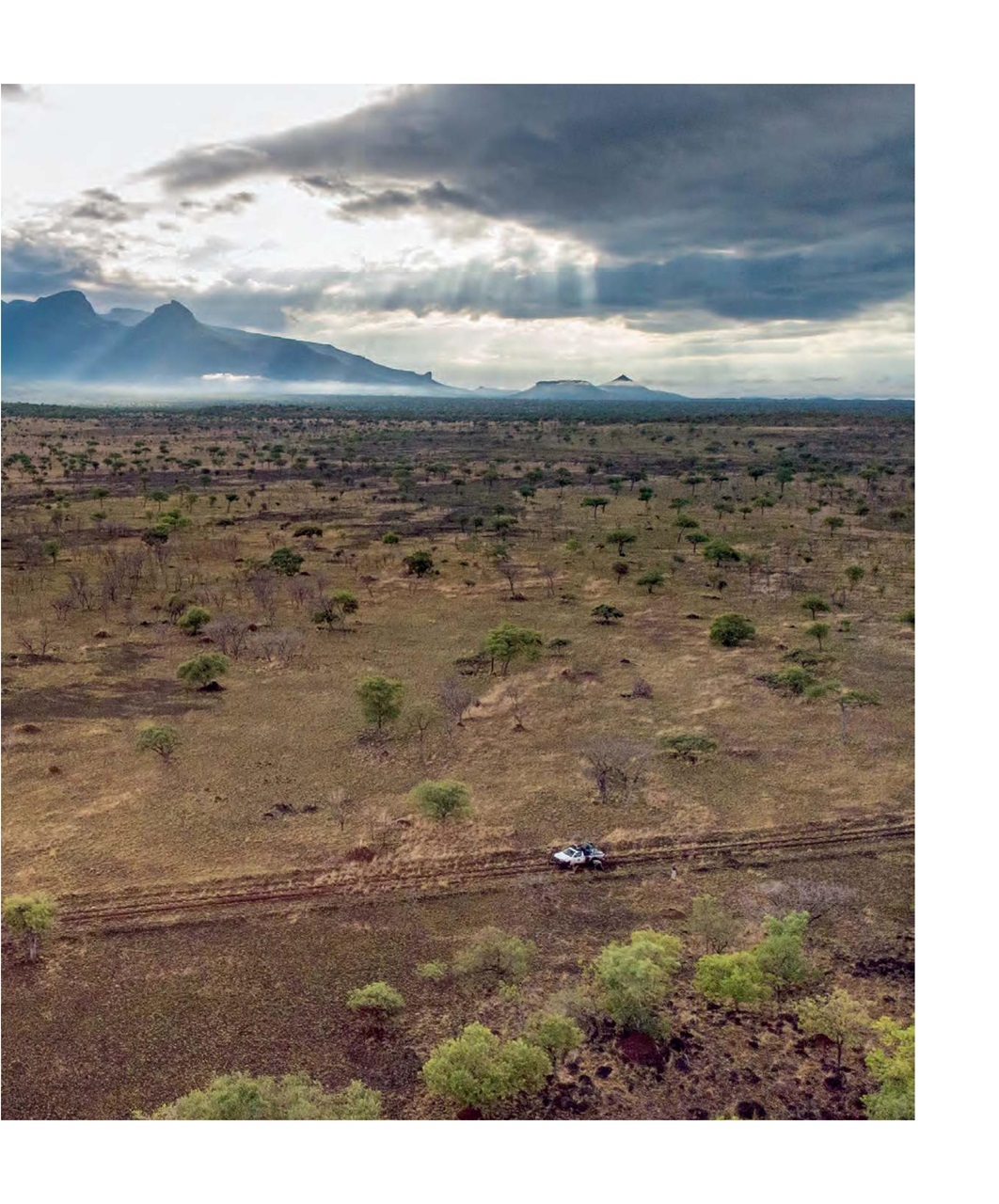 Fieldsports Journal Preview Pages