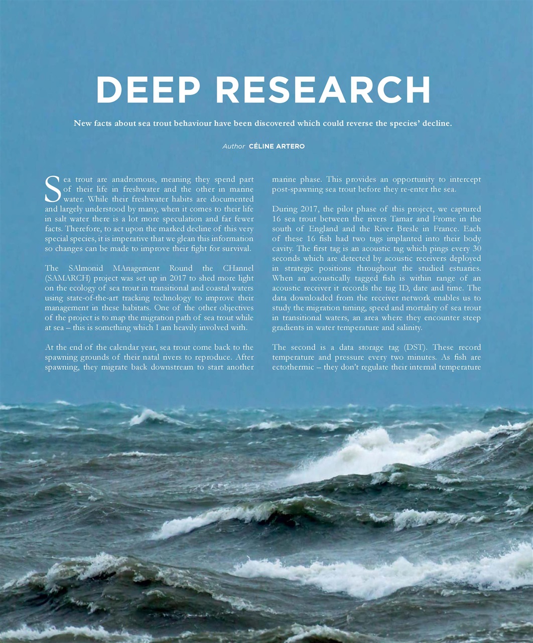 Fieldsports Journal Preview Pages