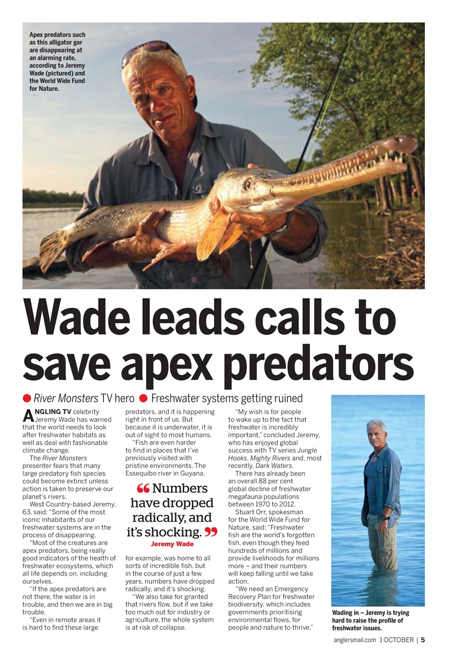 Anglers Mail Preview Pages