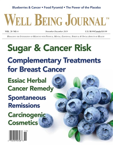 Well Being Journal issue 