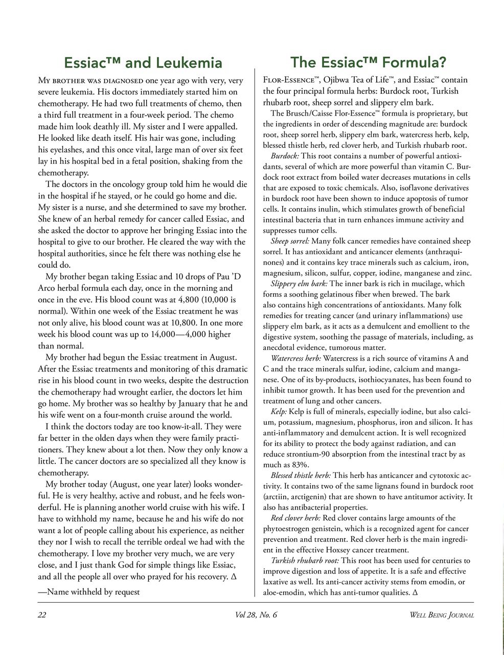 Well Being Journal Preview Pages