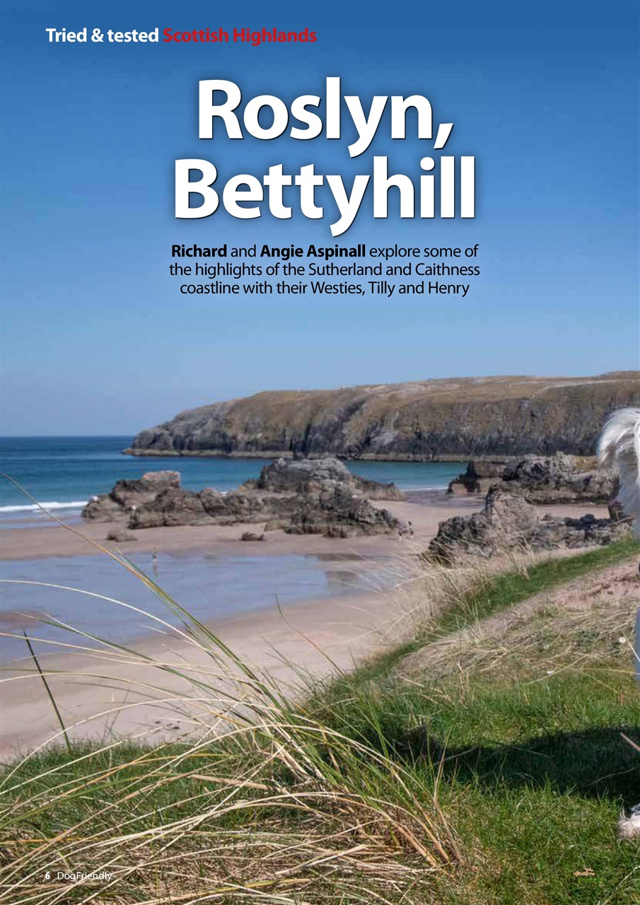 Dog Friendly Preview Pages