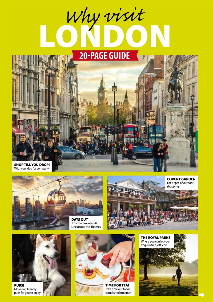 Dog Friendly Preview Pages