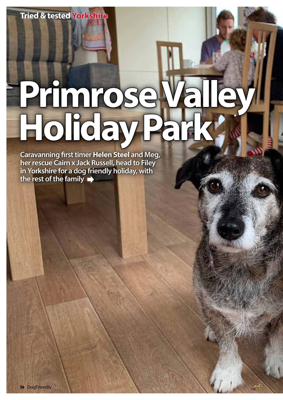 Dog Friendly Preview Pages