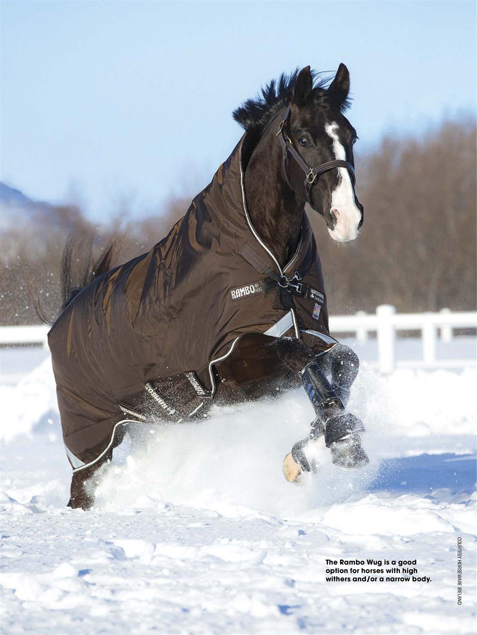 Horse Illustrated Magazine Preview Pages