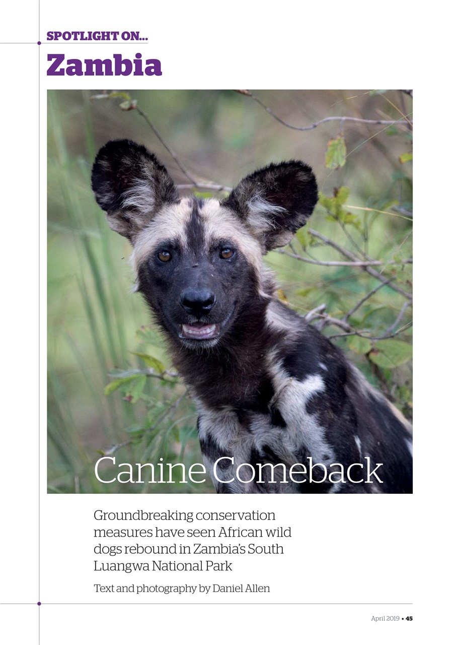 Geographical Preview Pages