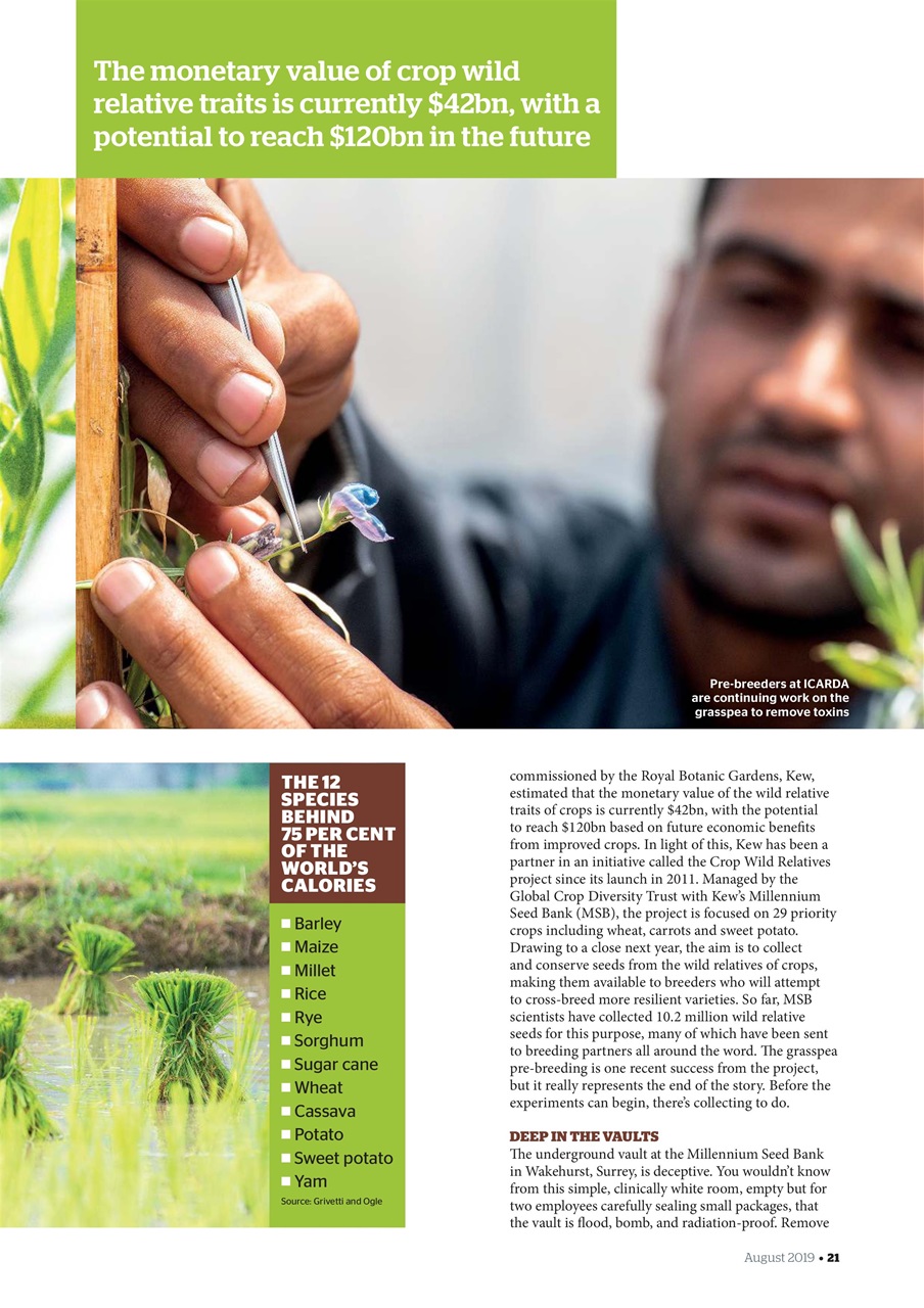 Geographical Preview Pages