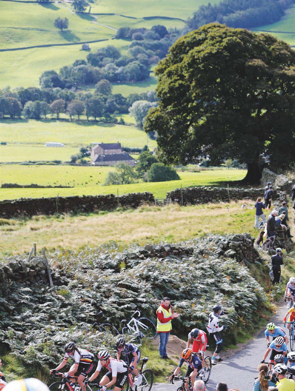 Cycling Weekly Preview Pages