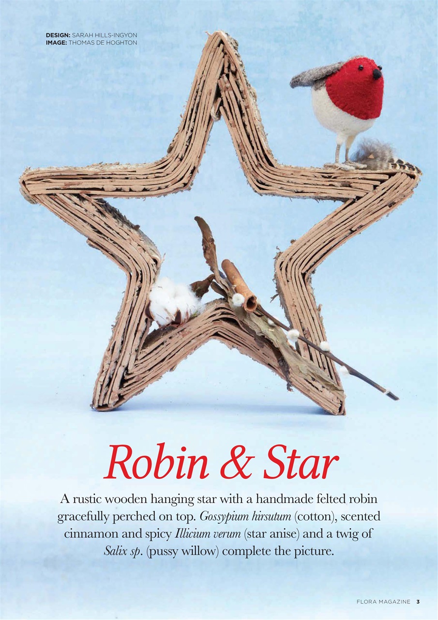 Flora International Preview Pages