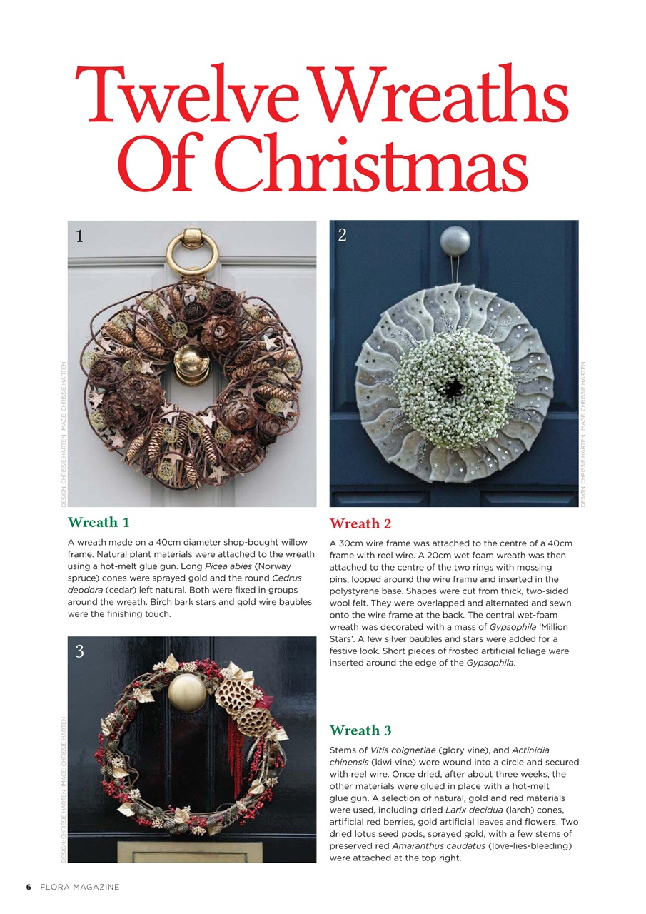 Flora International Preview Pages